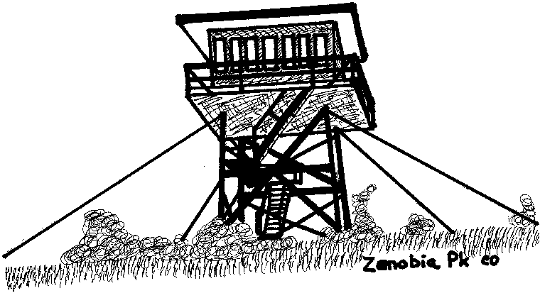 Zenobia sketch, 1987
